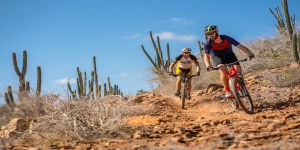 Aruba aktiv erleben: Outdoor-Abenteuer zwischen Strand und Natur