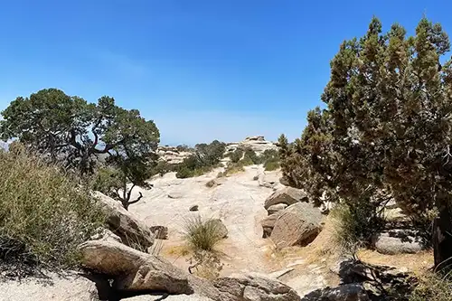 Die Wüste lebt – Arizona abseits der ausgetretenen Pfade