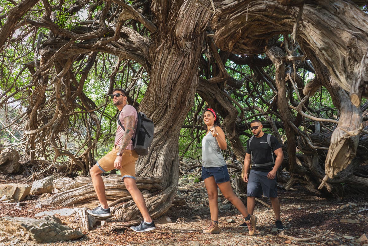 Wandern im Arikok Nationalpark auf Aruba © Wings Global Media